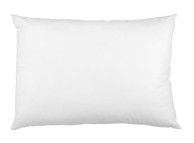 Staph Check Pillow Standard